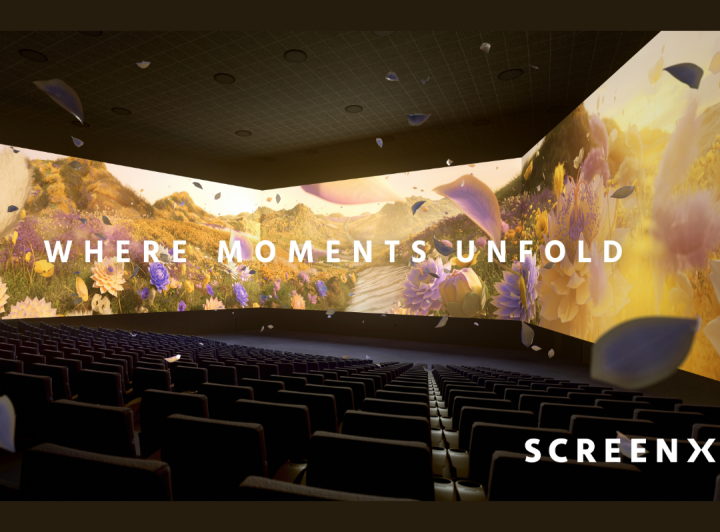 SCREENX