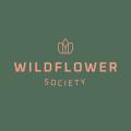 wildflower
